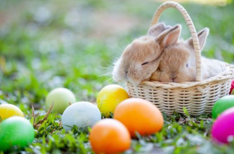 FEIERN SIE OSTERN MIT UNS !!