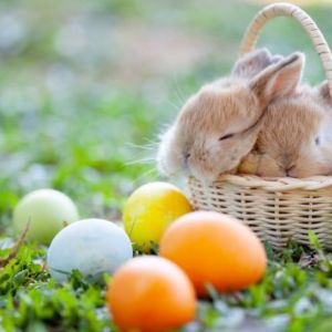 PASQUA IL PRIMO APPUNTAMENTO NON SI SCORDA MAI 